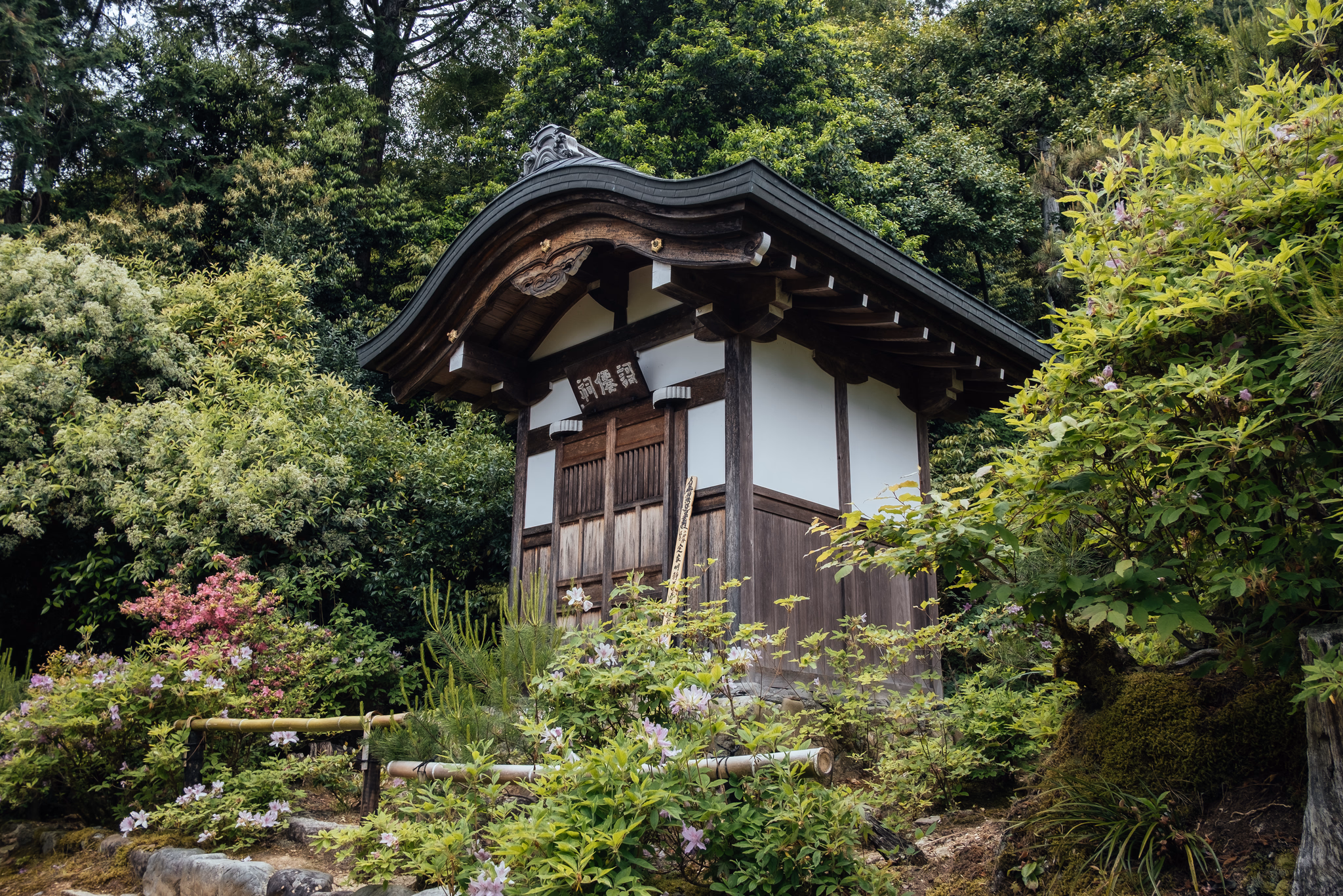 Kyoto, Japan (photo © 2019 Monokai)
