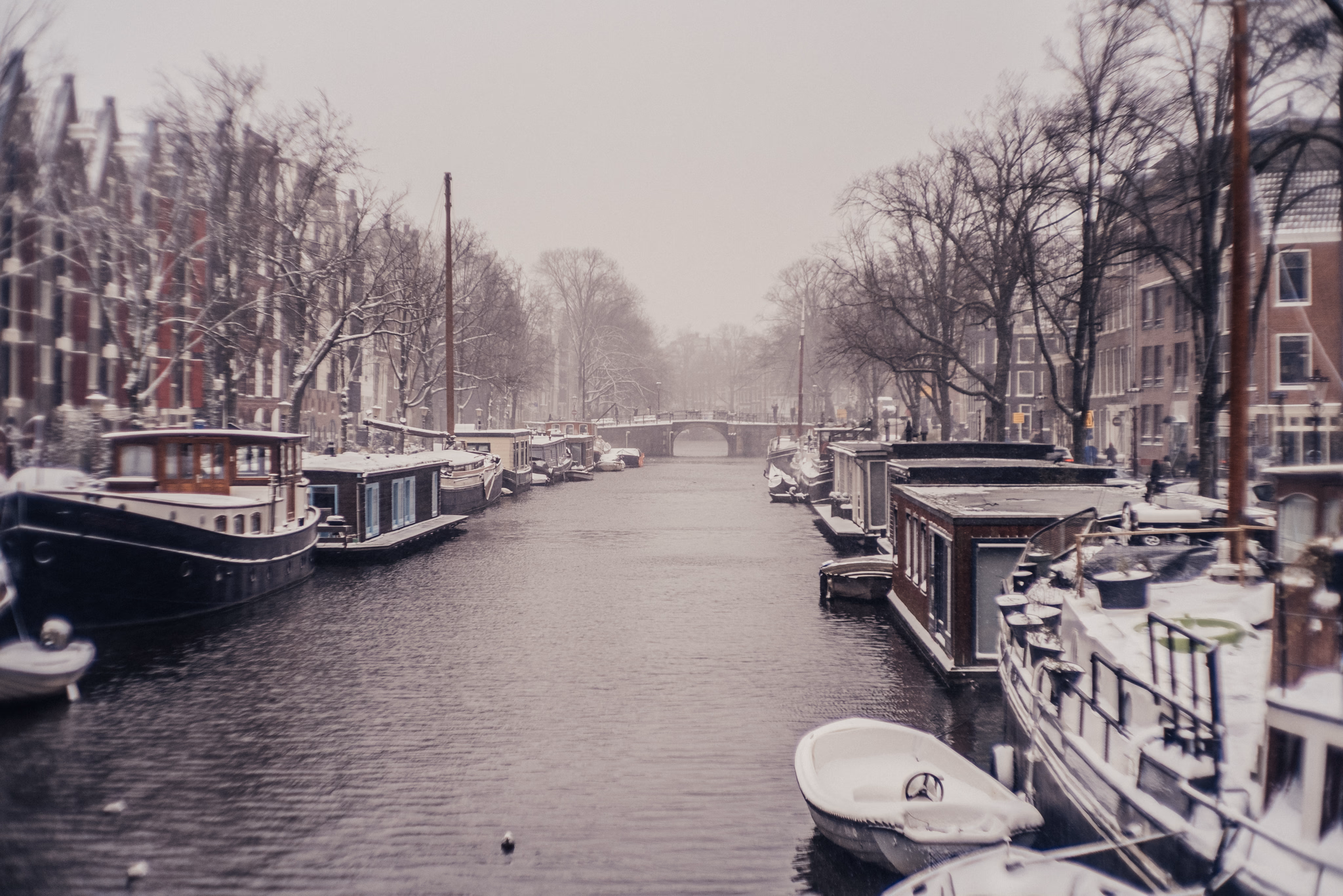 Winter in Amsterdam (photo © 2021 Monokai)