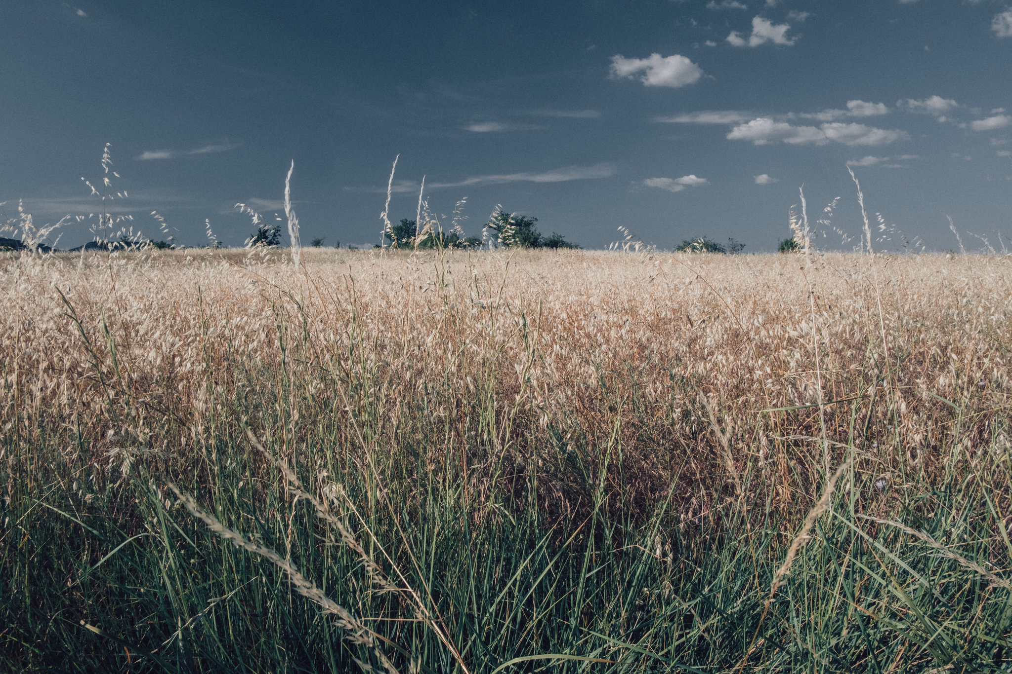 Ardèche, France (photo © 2020 Monokai)