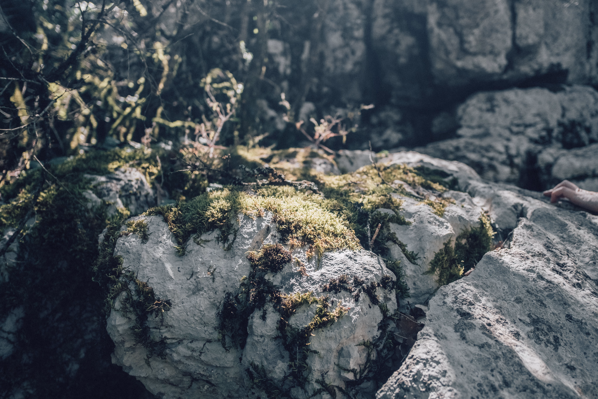 Ardèche, France (photo © 2020 Monokai)