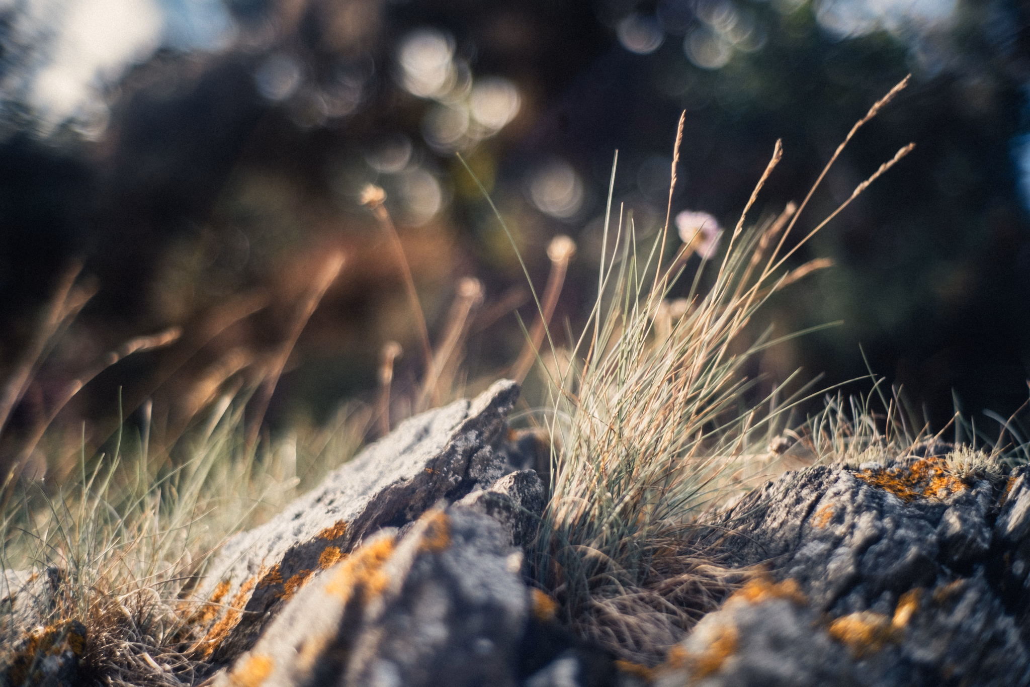 Coast of Brittany (photo © 2021 Monokai)