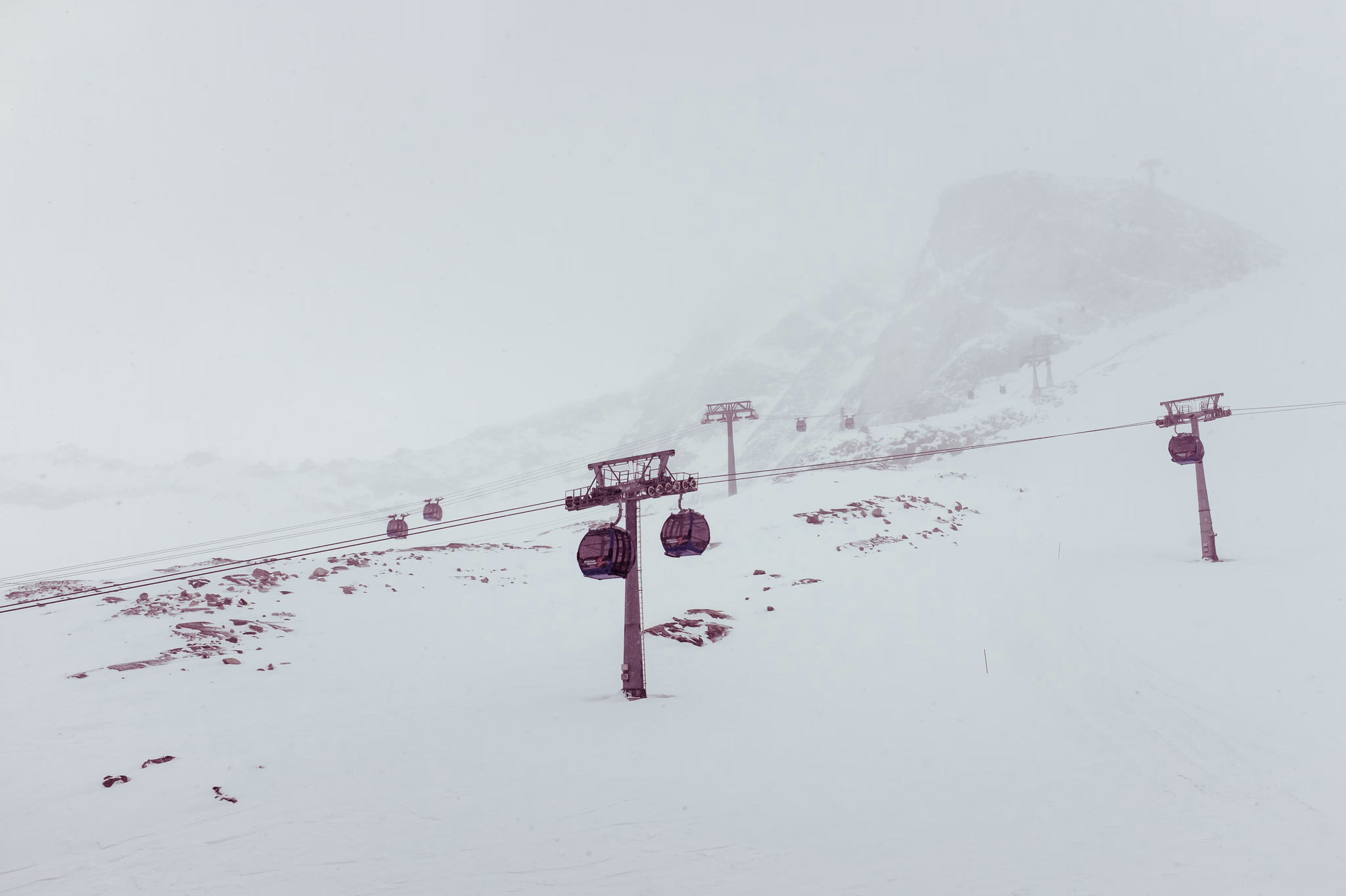 The Carriers (photo © 2015 Monokai)