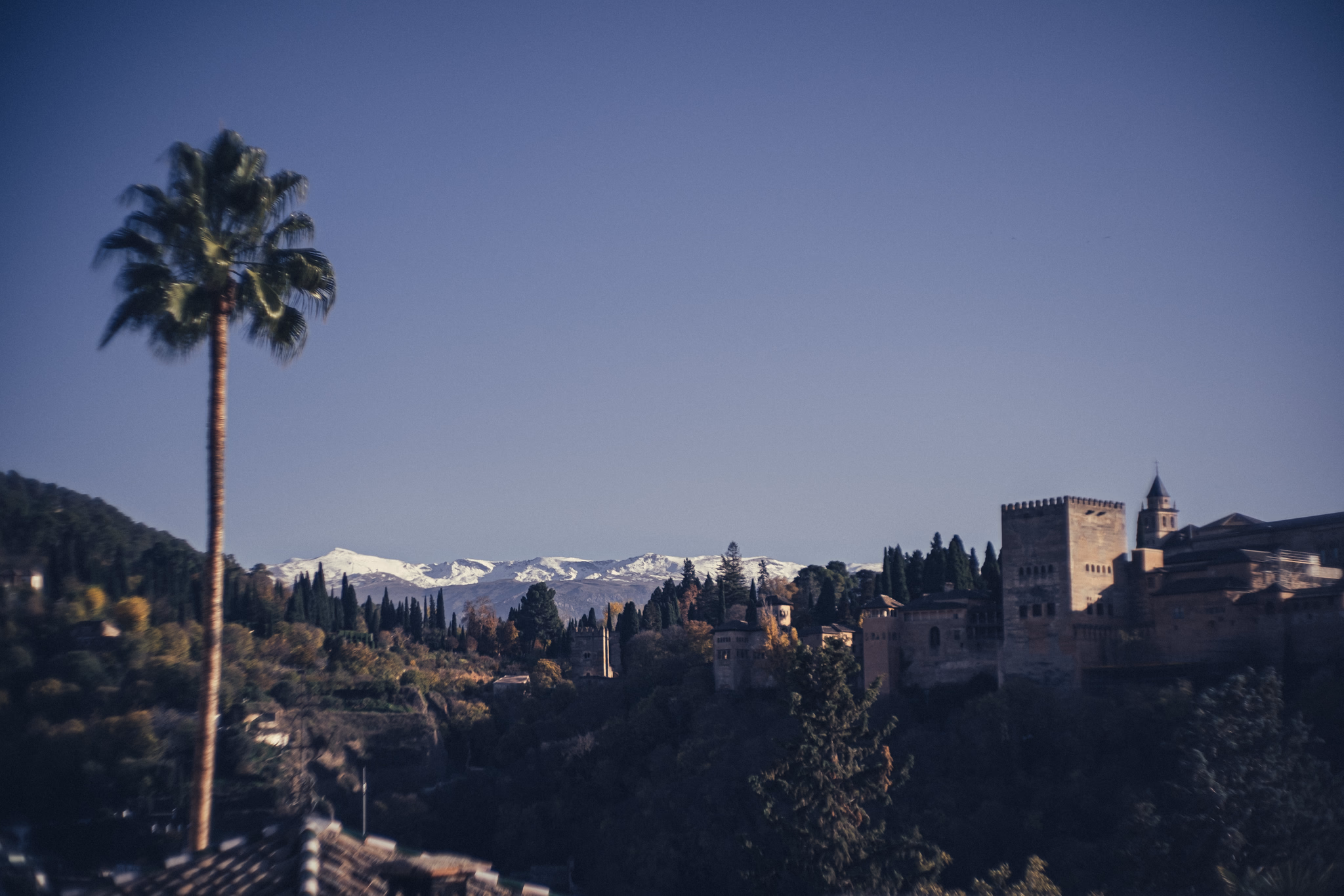 Andalusia, Spain (photo © 2024 Monokai)