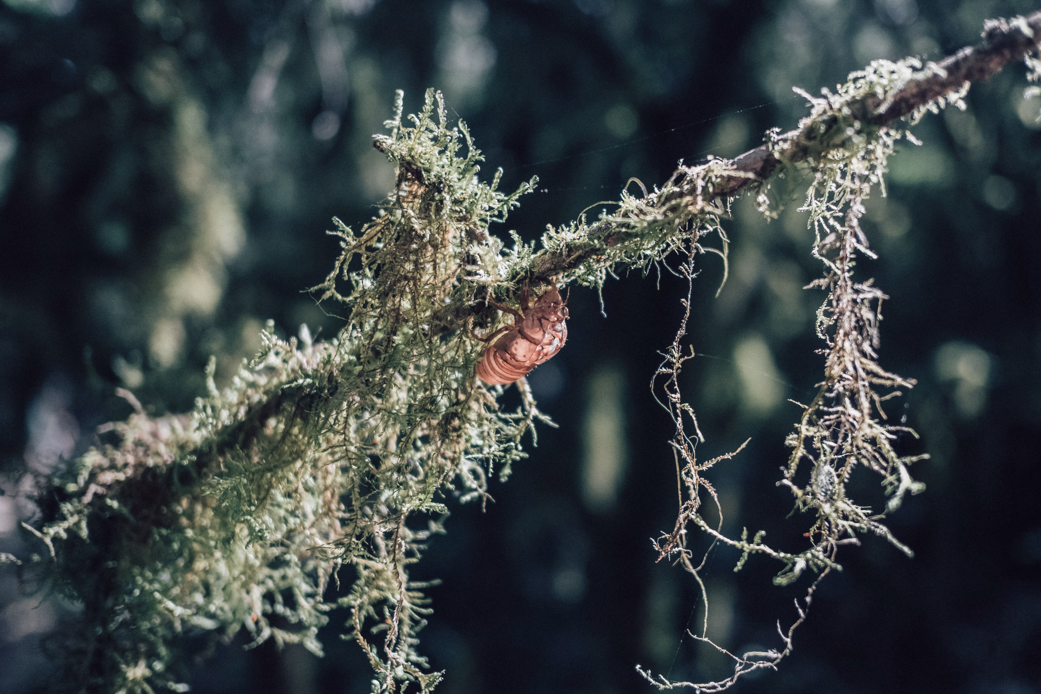 Ardèche, France (photo © 2020 Monokai)