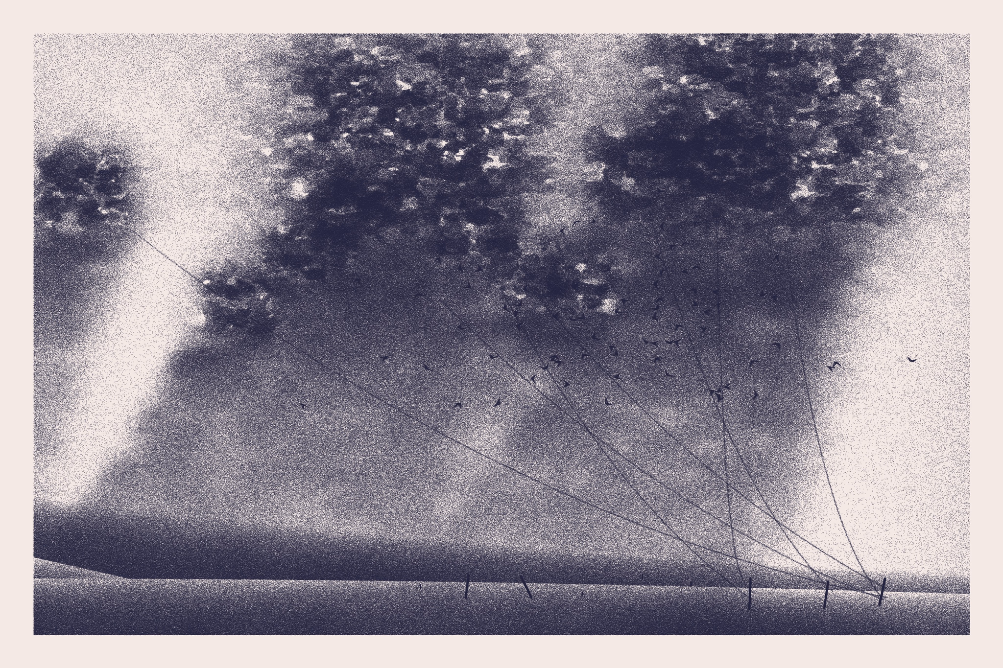 Cables and Clouds #7 by DisruptedStar (2022, collected by Monokai)