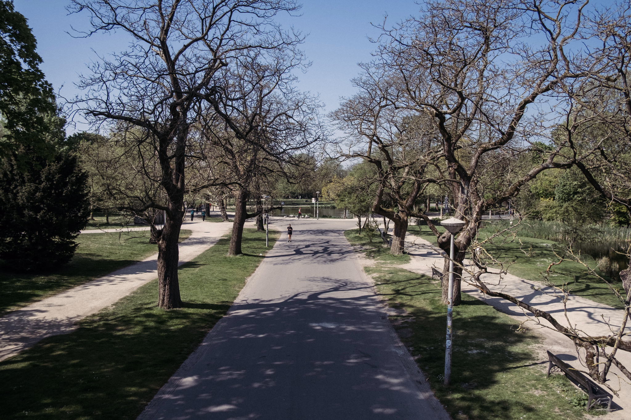 Koningsdag 2020 (photo © 2020 Monokai)