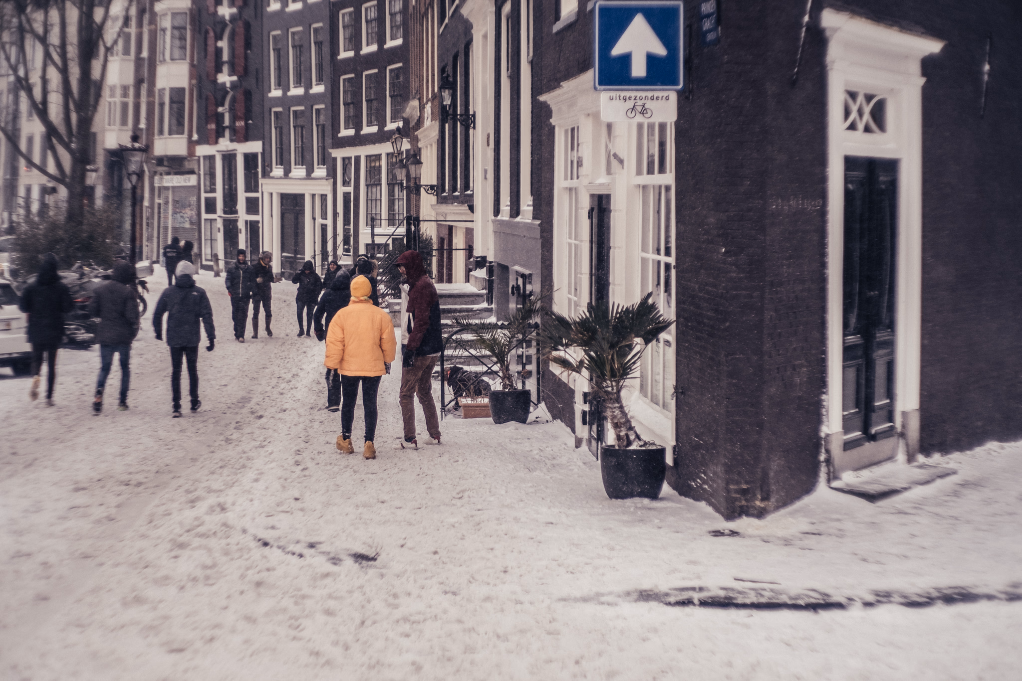 Winter in Amsterdam (photo © 2021 Monokai)