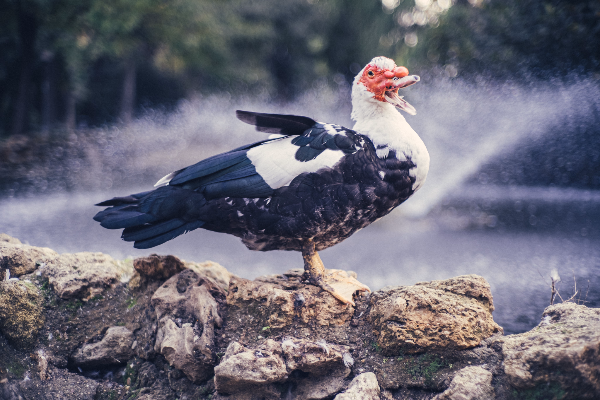 Andalusia, Spain (photo © 2024 Monokai)