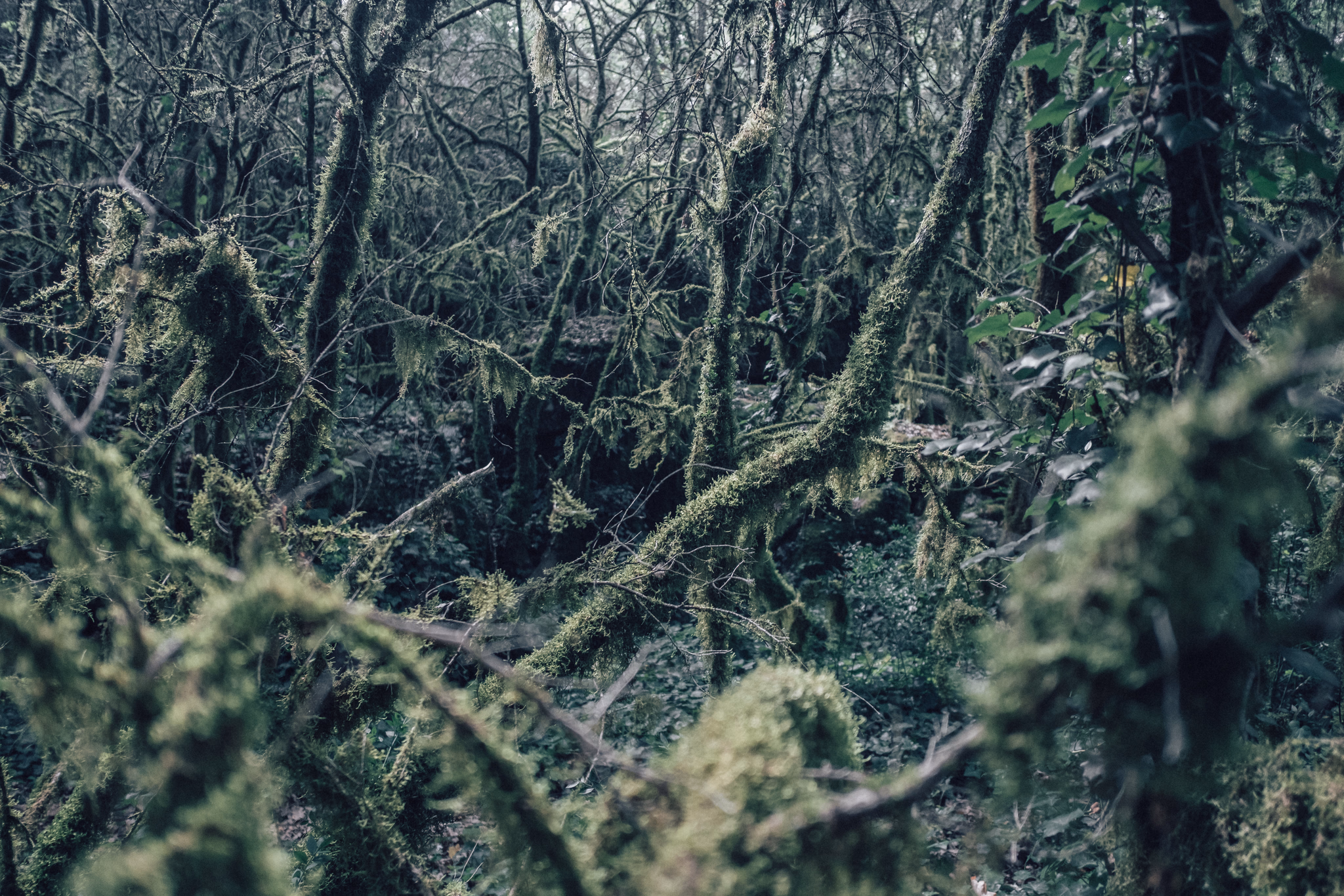 Ardèche, France (photo © 2020 Monokai)