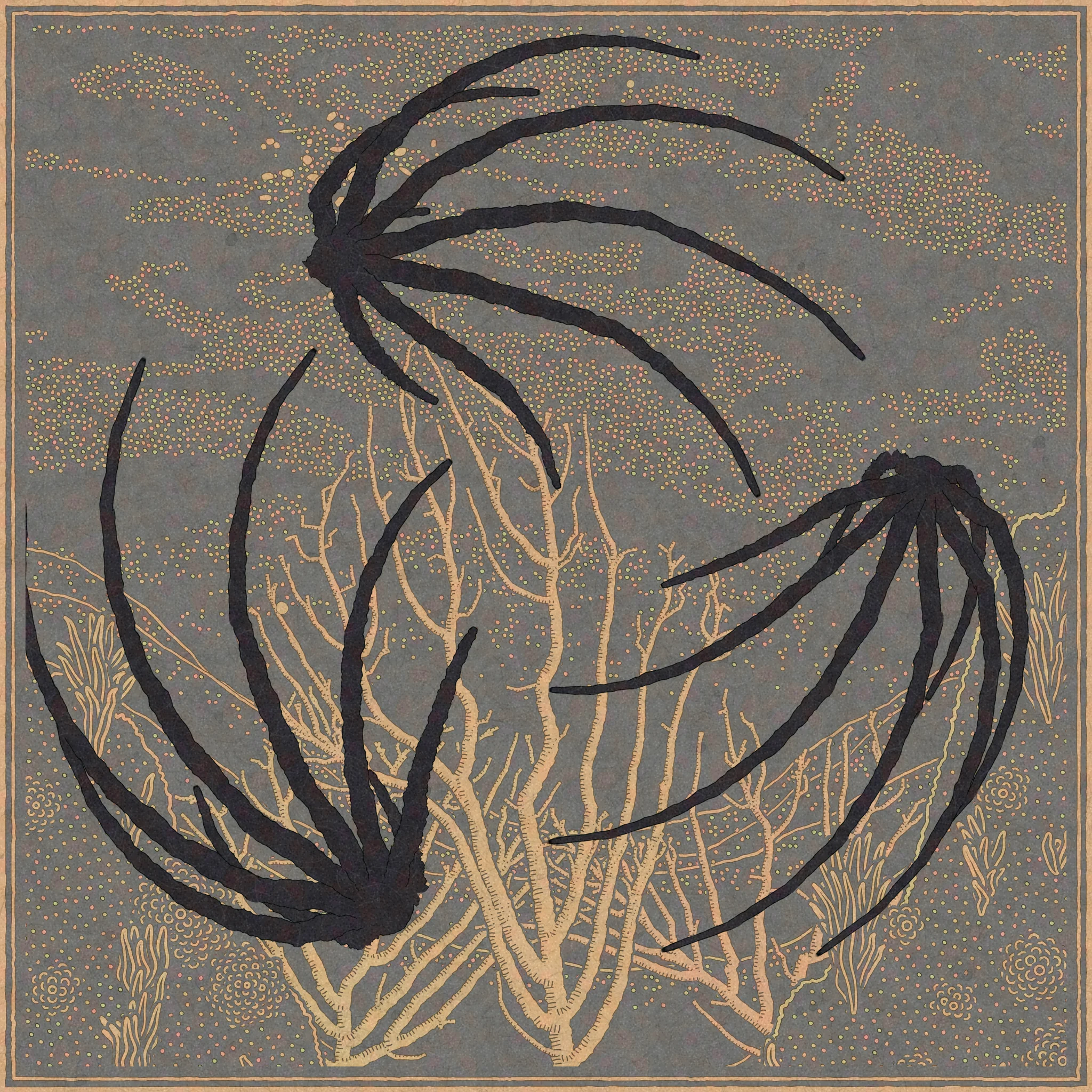 Selected Work — Monokai