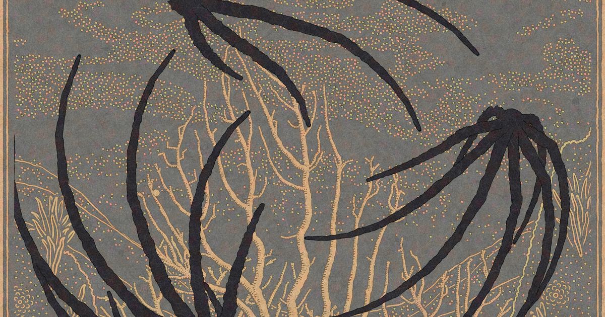 Drifters — An algorithimic dance