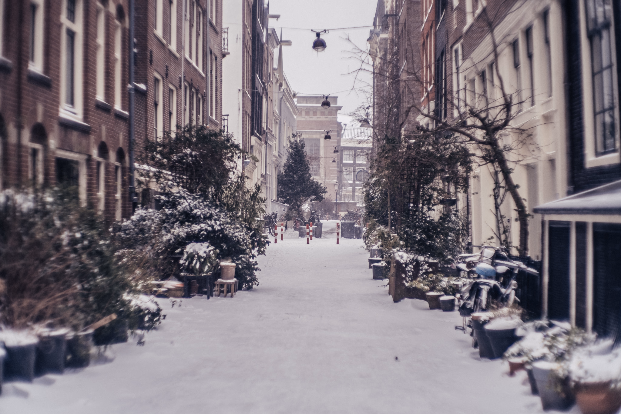Winter in Amsterdam (photo © 2021 Monokai)