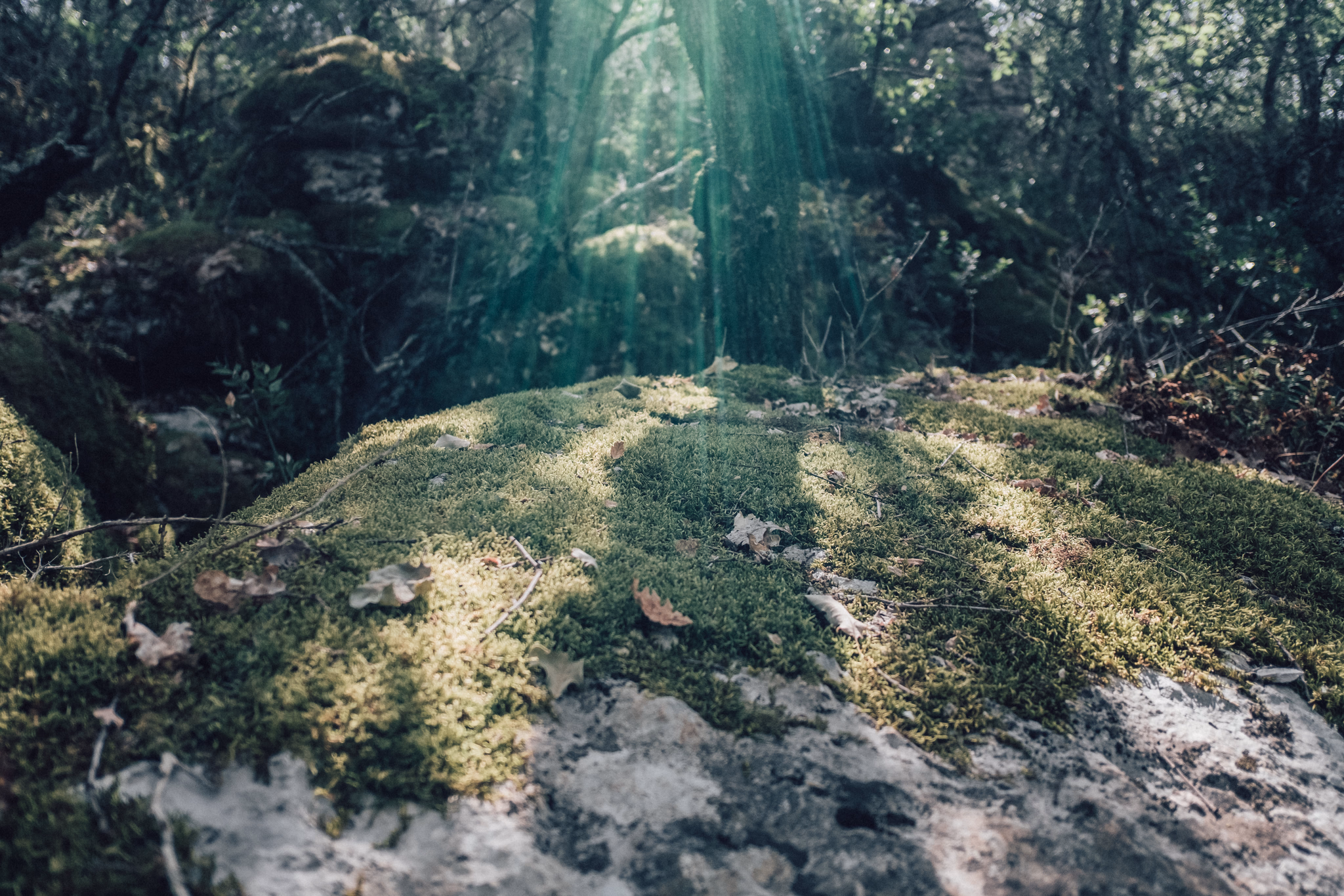 Ardèche, France (photo © 2020 Monokai)
