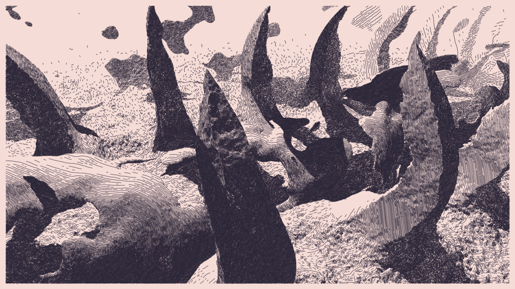 Art inside the Universal Rayhatcher algorithm (© 2023 Piter Pasma × Monokai)