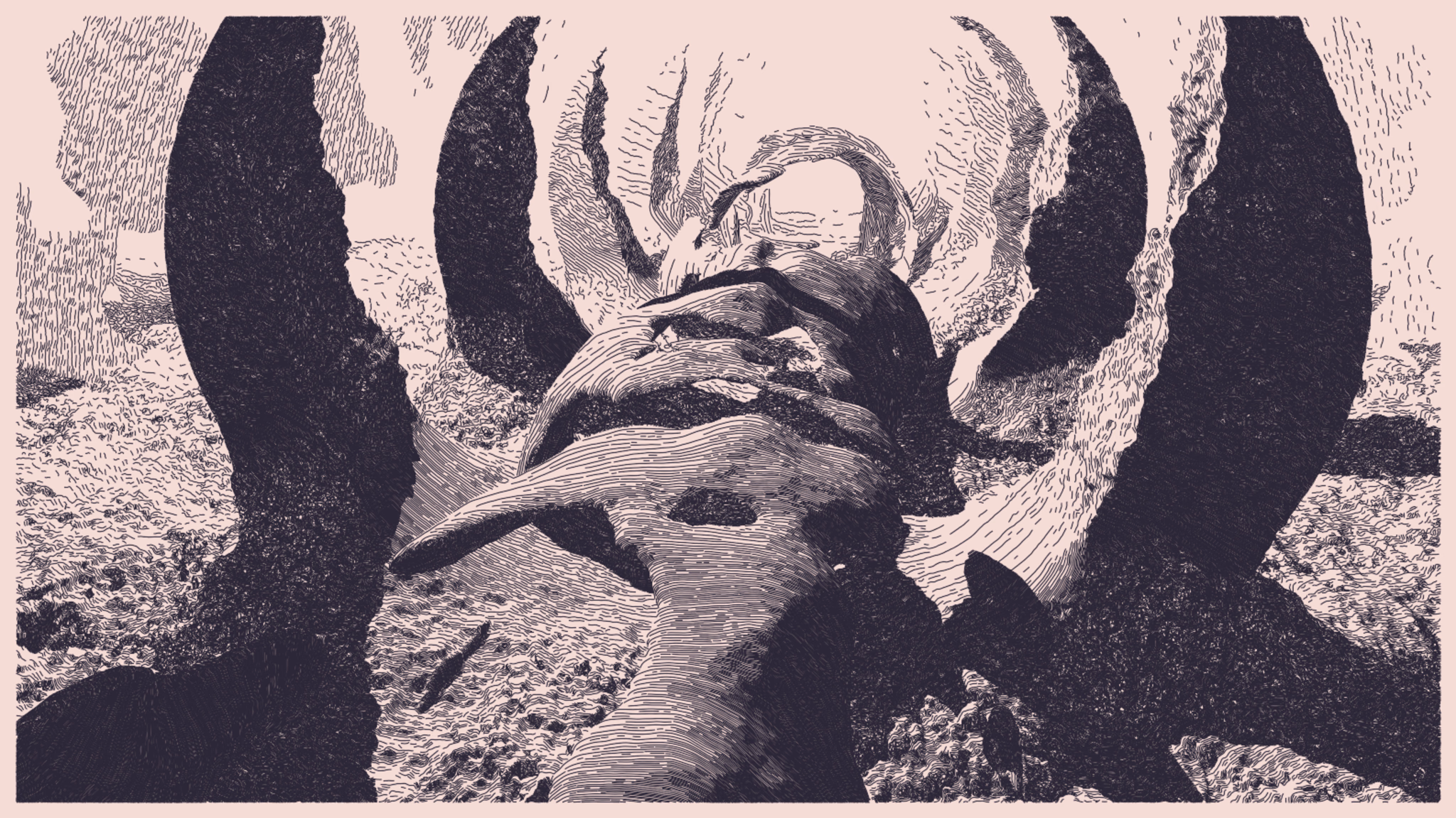 Art inside the Universal Rayhatcher algorithm (© 2023 Piter Pasma × Monokai)