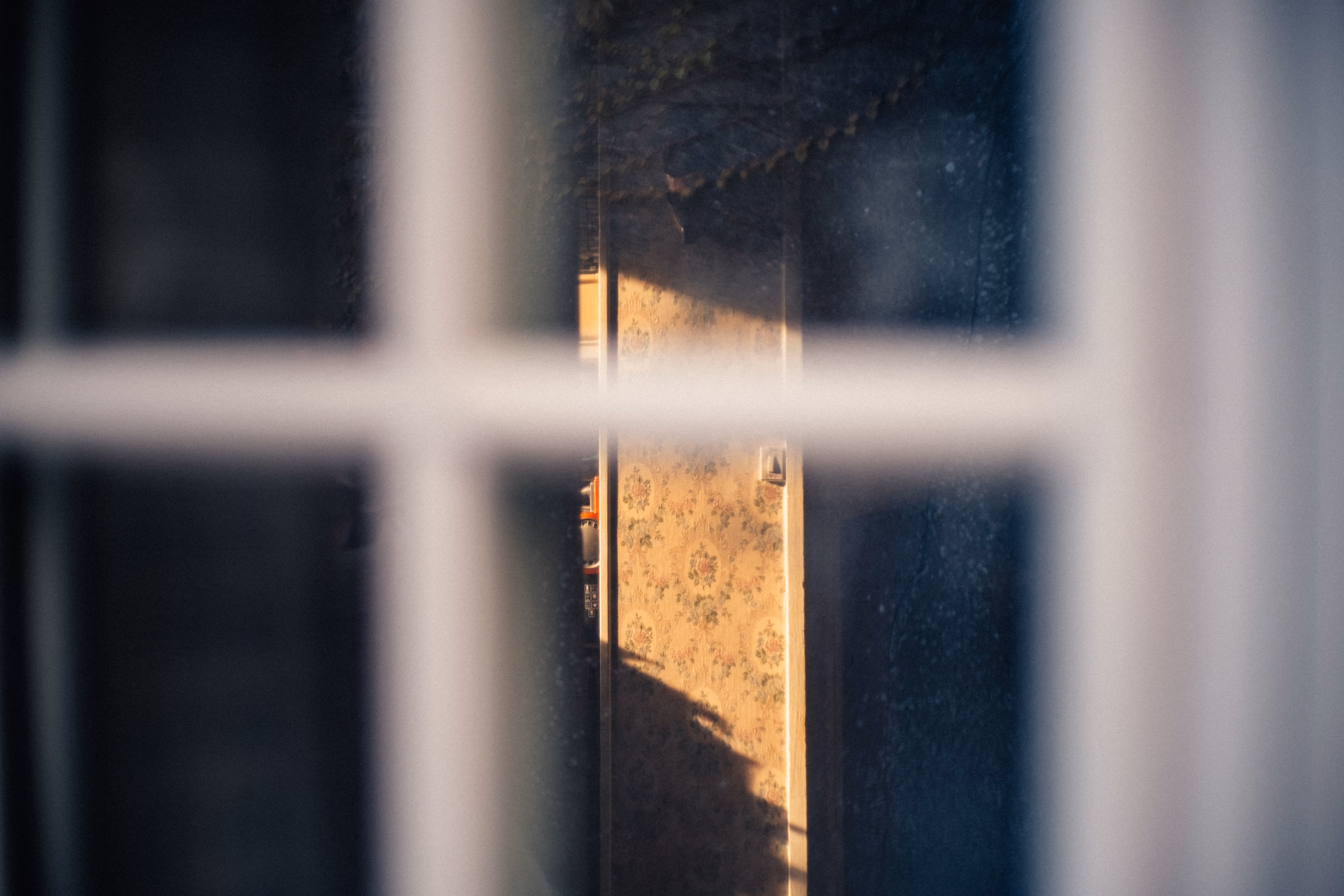 Coast of Brittany (photo © 2021 Monokai)