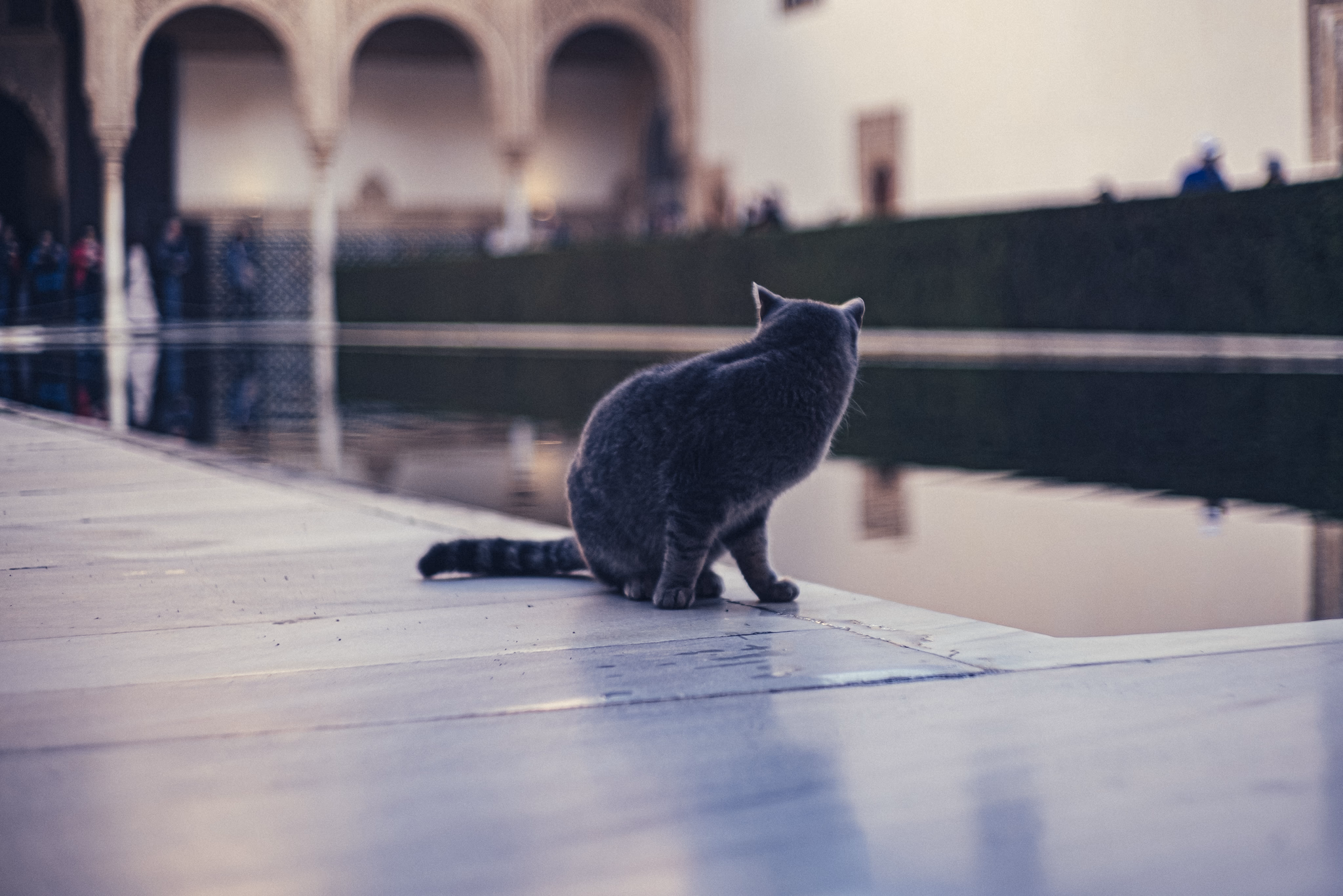 Andalusia, Spain (photo © 2024 Monokai)