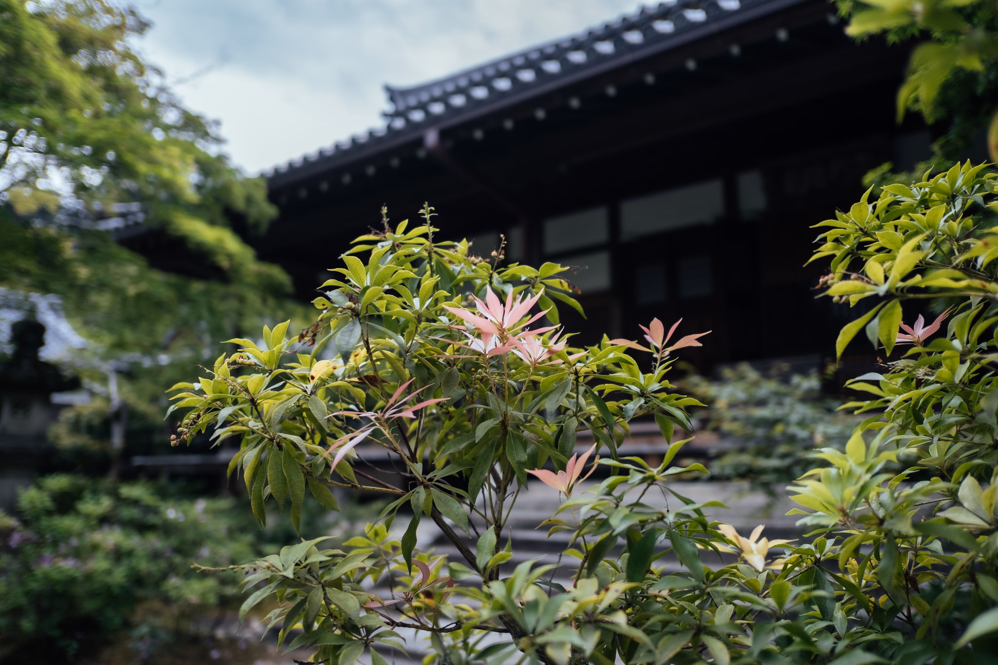 Kyoto, Japan (photo © 2019 Monokai)