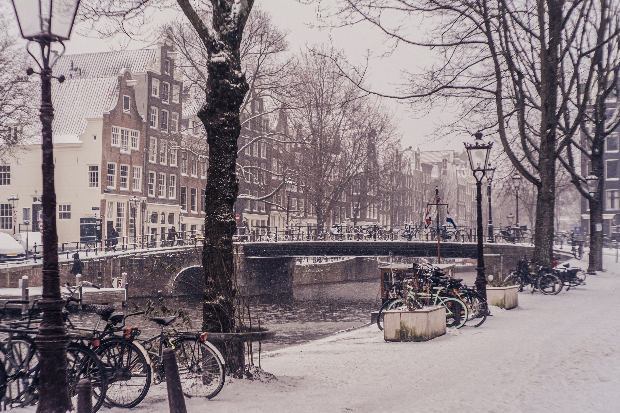 Winter in Amsterdam (photo © 2021 Monokai)