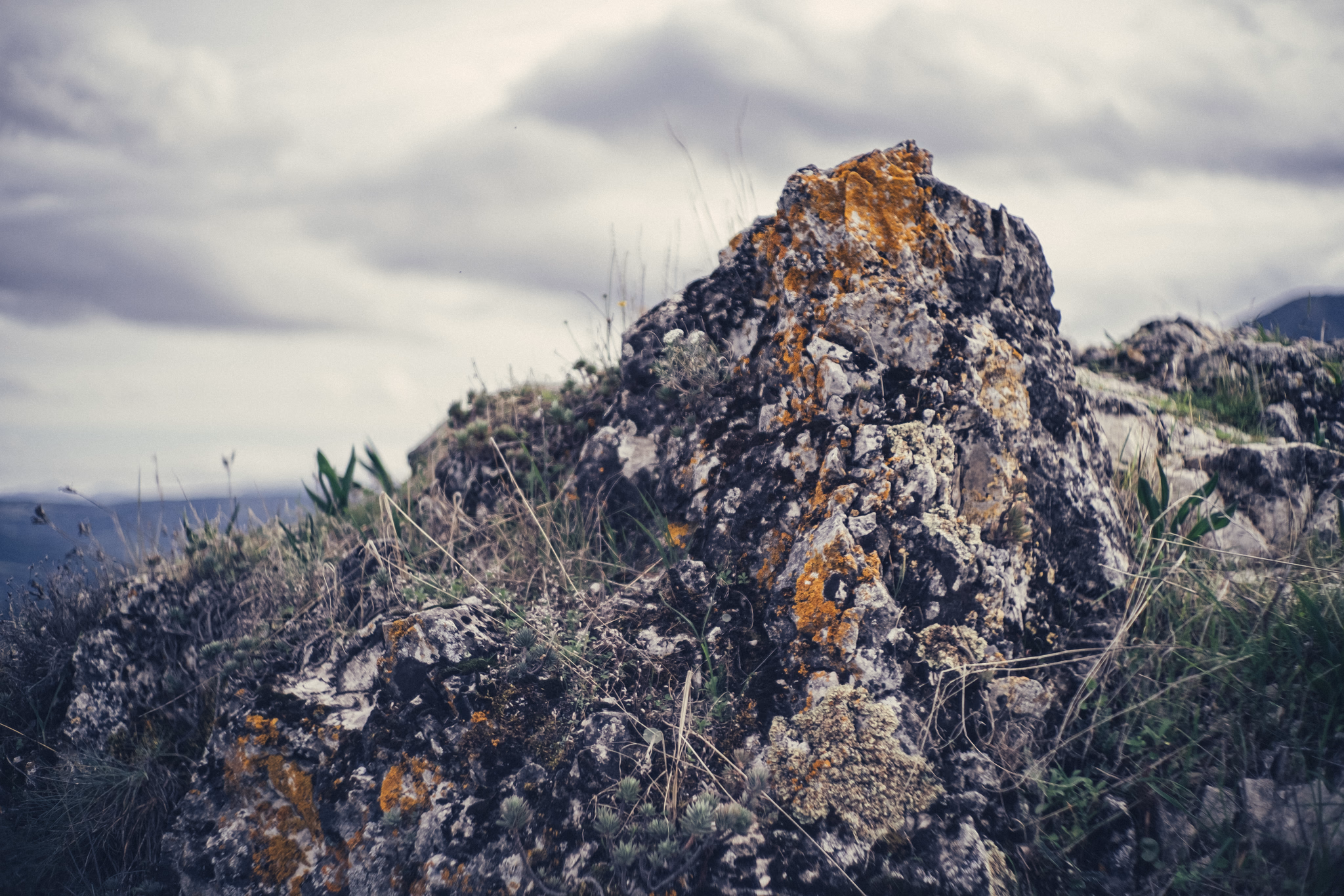 Andalusia, Spain (photo © 2024 Monokai)