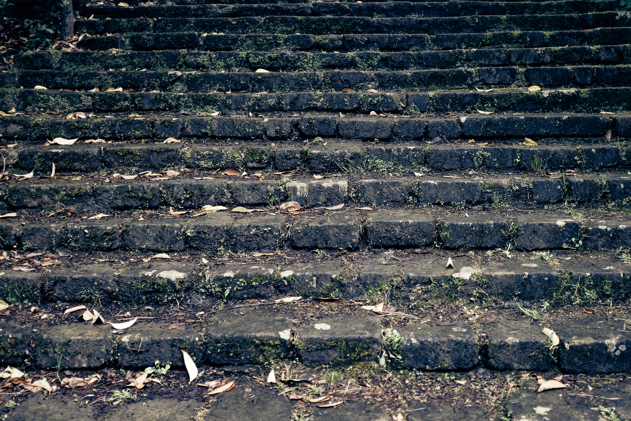 Parco Dei Mostri, Italy (photo © 2014 Monokai)